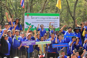 สำนักงาน กสทช. เขต 13 (ระนอง)จัดโครงการปลูกป่าชายเลน เฉลิมพระเกียรติ พระบาทสมเด็จพระเจ้าอยู่หัวฯ เนื่องในวโรกาสมหามงคลเฉลิมพระชนมพรรษา 85 พรรษา