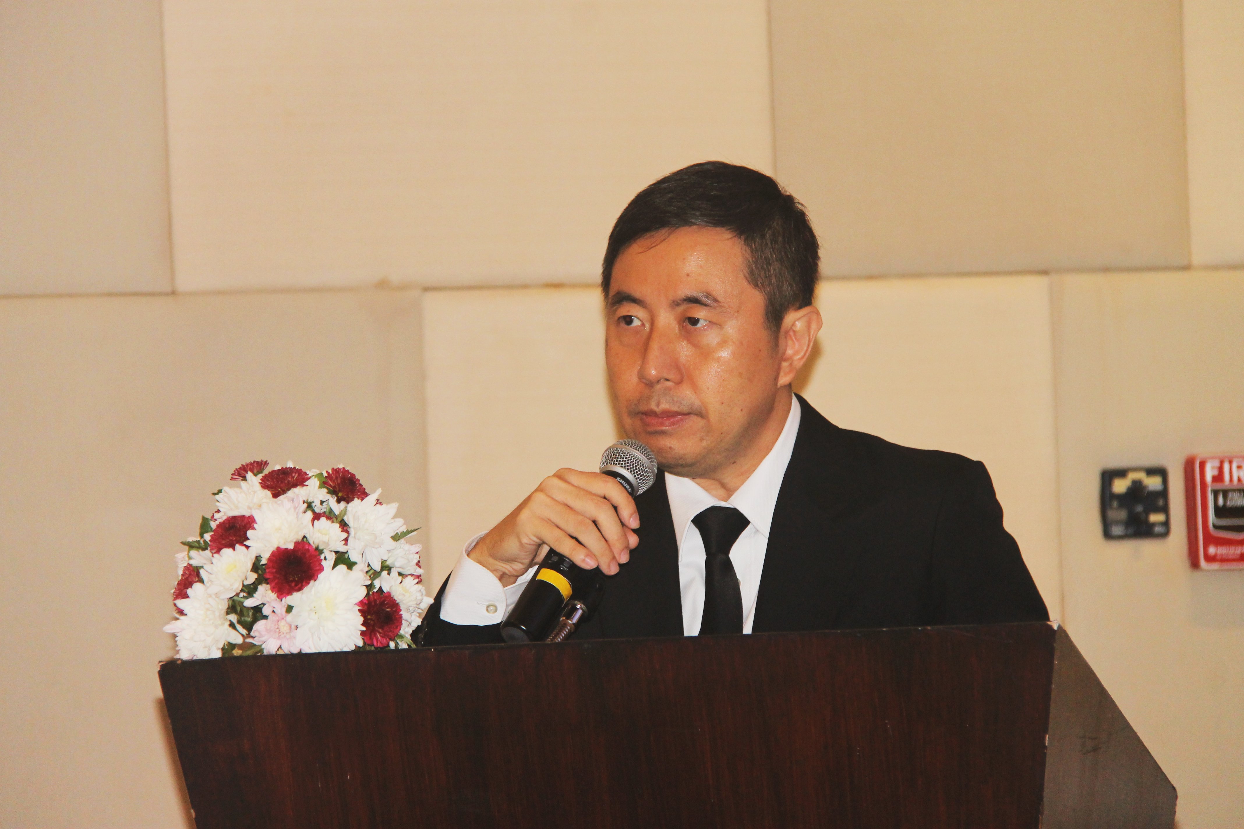 P01.JPG
